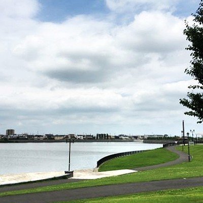 池の周囲を走る！越谷レイクタウンコース（越谷市）