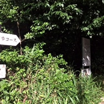 クロカンも楽しめる東山公園一万歩コースラン（名古屋市）