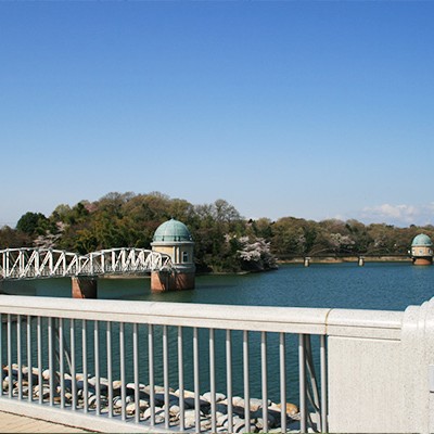 多摩湖サイクリングロードコース（東村山市）