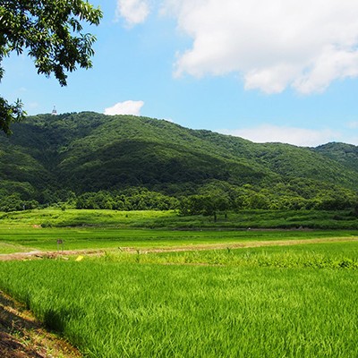 山道をゆく宝篋山（ほうきょうさん）トレイルラン（つくば市）