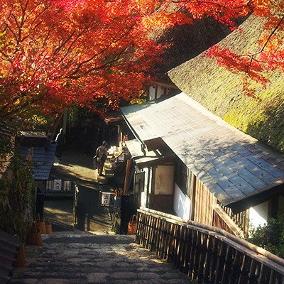 とにかく坂道！河内ダム・大興善寺コース（鳥栖市）