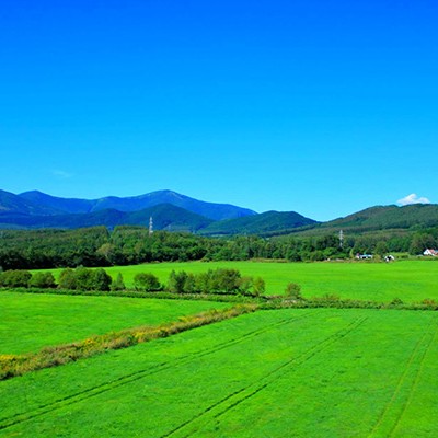 上りか下りのみ！「みのかもハーフ」コース（美濃加茂市）
