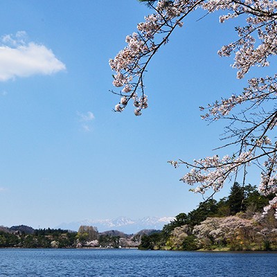 松平定信が築造！南湖（なんこ）公園1周コース（白河市）