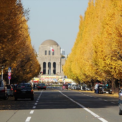 迎賓館や銀杏並木の美しさ！神宮外苑・赤坂御所コース（港区）