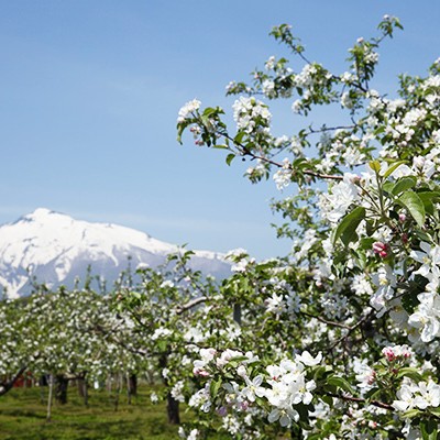 信仰の山・岩木山神社コース（弘前市）