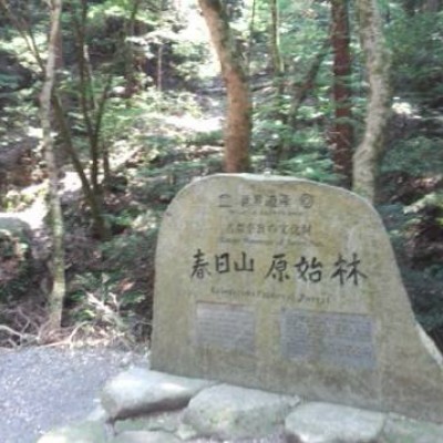 春日山原始林を走る森林浴コース（奈良市）