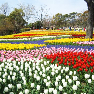 木曽三川公園から走る！長良川河川敷コース（海津市）