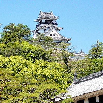 市内中心部を走る・高知城クロカン周回コース（高知市）