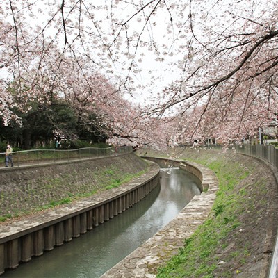 高井戸・神田川～善福寺川周回コース（杉並区）