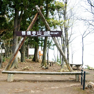 走りやすく人気！菩提寺山トレイルコース（新潟市）