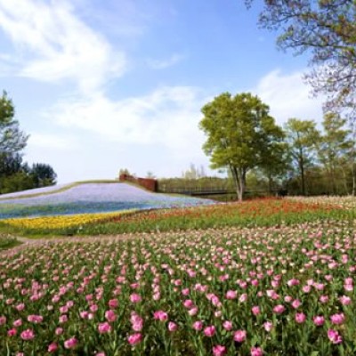 国営讃岐まんのう公園周回コース（まんのう町）