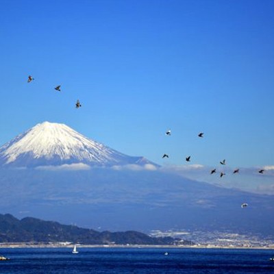 白砂青松と富士山！三保松原、神の道コース（静岡市）