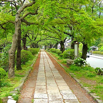 南禅寺から哲学の道、鴨川河川敷コース（京都市）