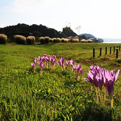 日本最大級の天然池「湖山池」一周コース（鳥取市）
