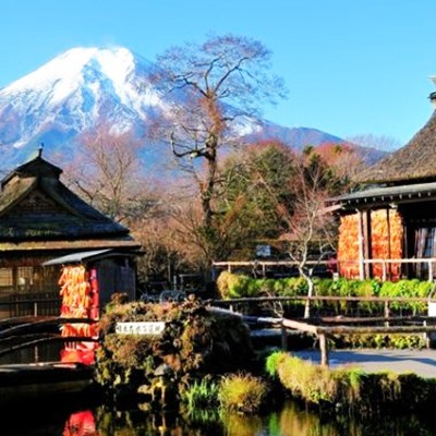 忍野八海、ハリモミ純林、花の都公園コース（忍野村）