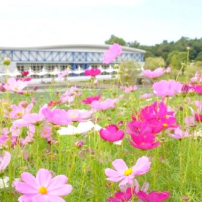 名古屋駅からモリコロパークまで20km走コース（長久手市）