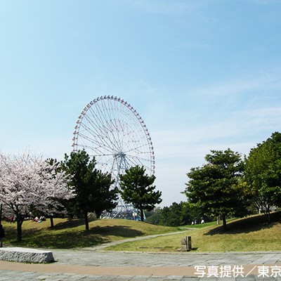 潮風と走ろう！　葛西臨海公園コース（江戸川区）
