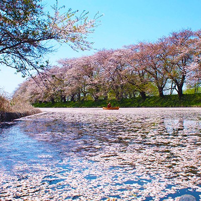筑波山を見ながら走る小貝川土手コース（守谷市）