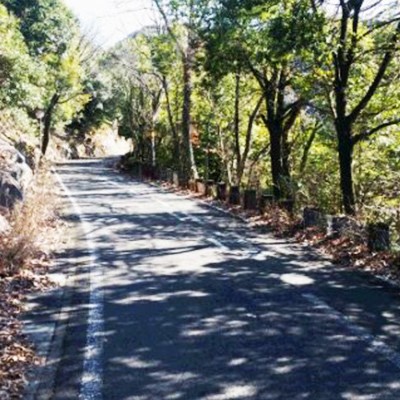 険しい上り下りで鍛錬。金華山ドライブウェイコース（岐阜市）