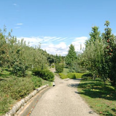 急坂を上る！「ほったらかし温泉」コース（山梨市）