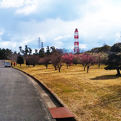 インターバルにおすすめ！河西公園トリムコース（和歌山市）