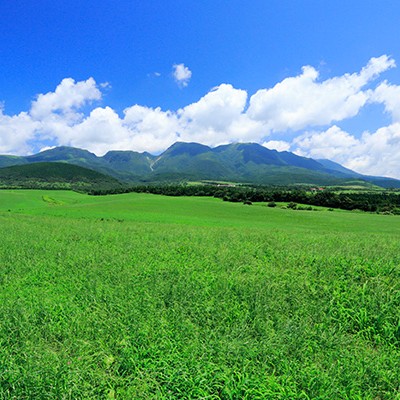 強豪チームの練習場、久住高原クロスカントリーコース（竹田市）