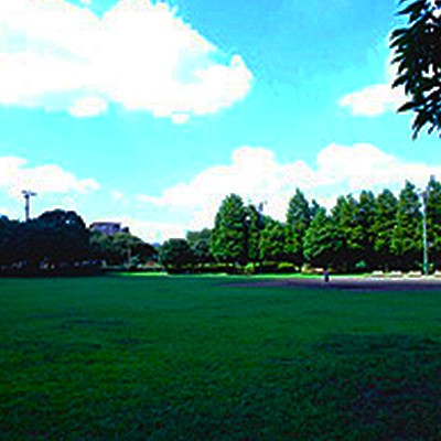 朝霞の森＆青葉台公園周回コース（朝霞市）