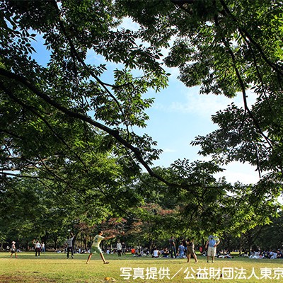 渋谷の緑地帯・代々木公園コース（渋谷区）