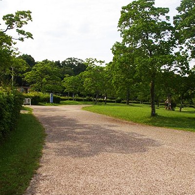 森の中の公園「太陽が丘」周回コース（宇治市）