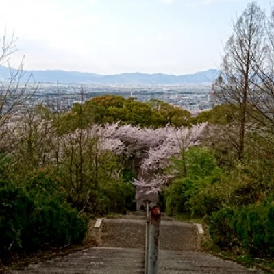 林道を抜け、緑深い山を散策。眉山・大滝山コース（徳島市）