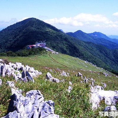 標高1400m、天狗高原・四国カルストコース（津野町）