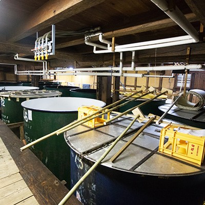 灘の生一本の地！住吉川遊歩道コース（神戸市）