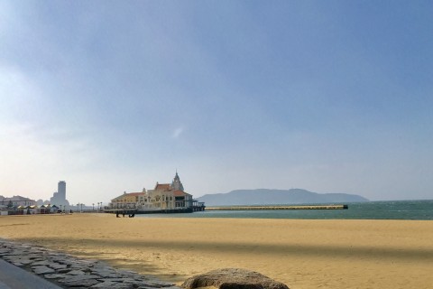 スモウラン「一人一花運動」    INシーサイド百道海浜公園