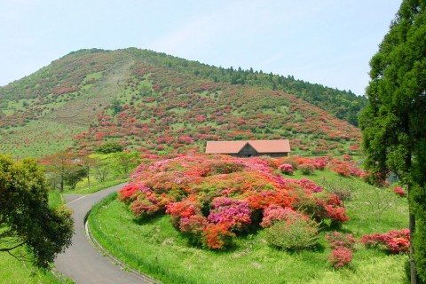【鹿児島開催】桜島に向かって走れ！垂水市錦江湾ランニング！"走ろうにっぽん"