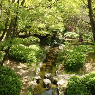 木漏れ日の道を走る、大泉緑地コース（堺市）