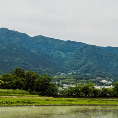 「金剛葛城山下駅伝」の全6区を走るコース（御所市）