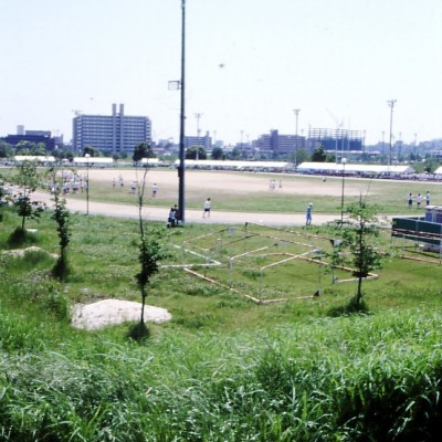 土手上の土道。坪井川緑地周回コース（熊本市）