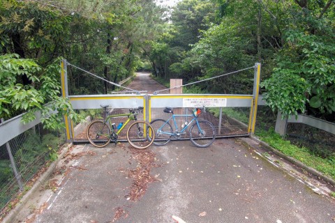 ヤンバルライド｜大国林道を楽しもう