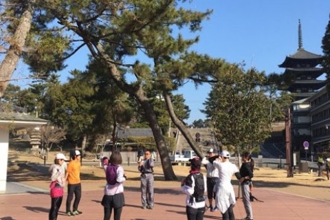 夏バテしたくないランナーのための栄養学とフォーム修正『寺子屋道場』【こだわりランチ付き】