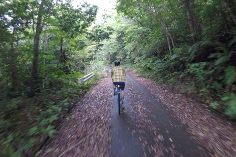ヤンバルライド｜大国林道を楽しもう