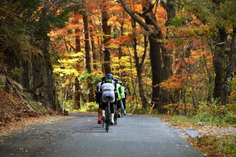ツール・ド・かつらお～第2回福島民報杯～