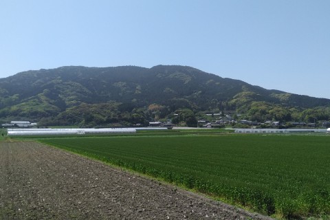 【福岡開催】ゴールは温泉！春の糸島ロング走”走ろうにっぽん”