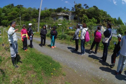 宮城・塩竃市浦戸諸島4島観光ランニングツアー