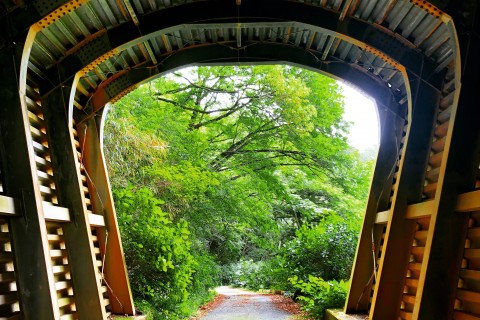 生駒ボルダーあじさいマラニック