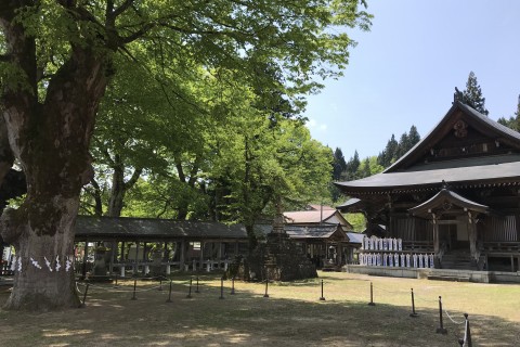 南魚沼グルメマラソン！大会前日マラニック『浦佐の歴史をたどり、アイスをなめる午後』