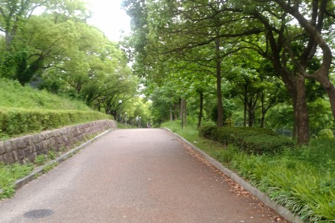 ランナーズ鶴見緑地20K & 3時間走　"走ろうにっぽん”