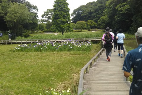 藤沢スロージョギングサークル　体験会 7/5(金)13:00～開催