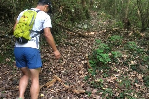 MUROTO MARINE TERRACE TRAIL 2018