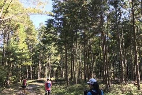 東白川村つちのこトレイルマラニック2018