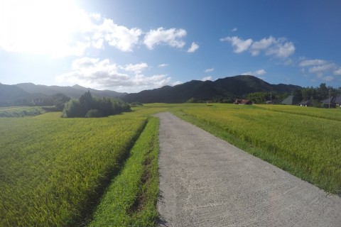 新感覚ランイベント！ながと旅ランin TAWARAYAMA